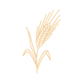 Arpa