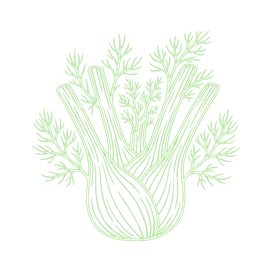 Fenchel
