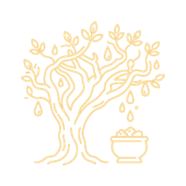 Weihrauchbaum (Boswellia)