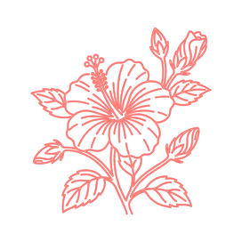 Hibiskus