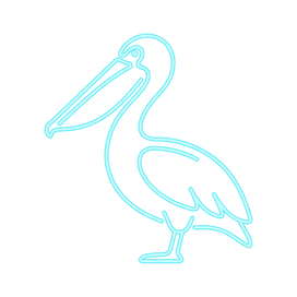 Pelikan