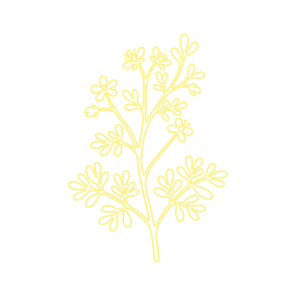 Rue