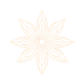 Sternanis