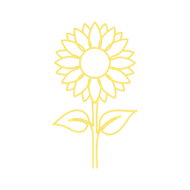 Sonnenblume