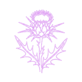 Distel